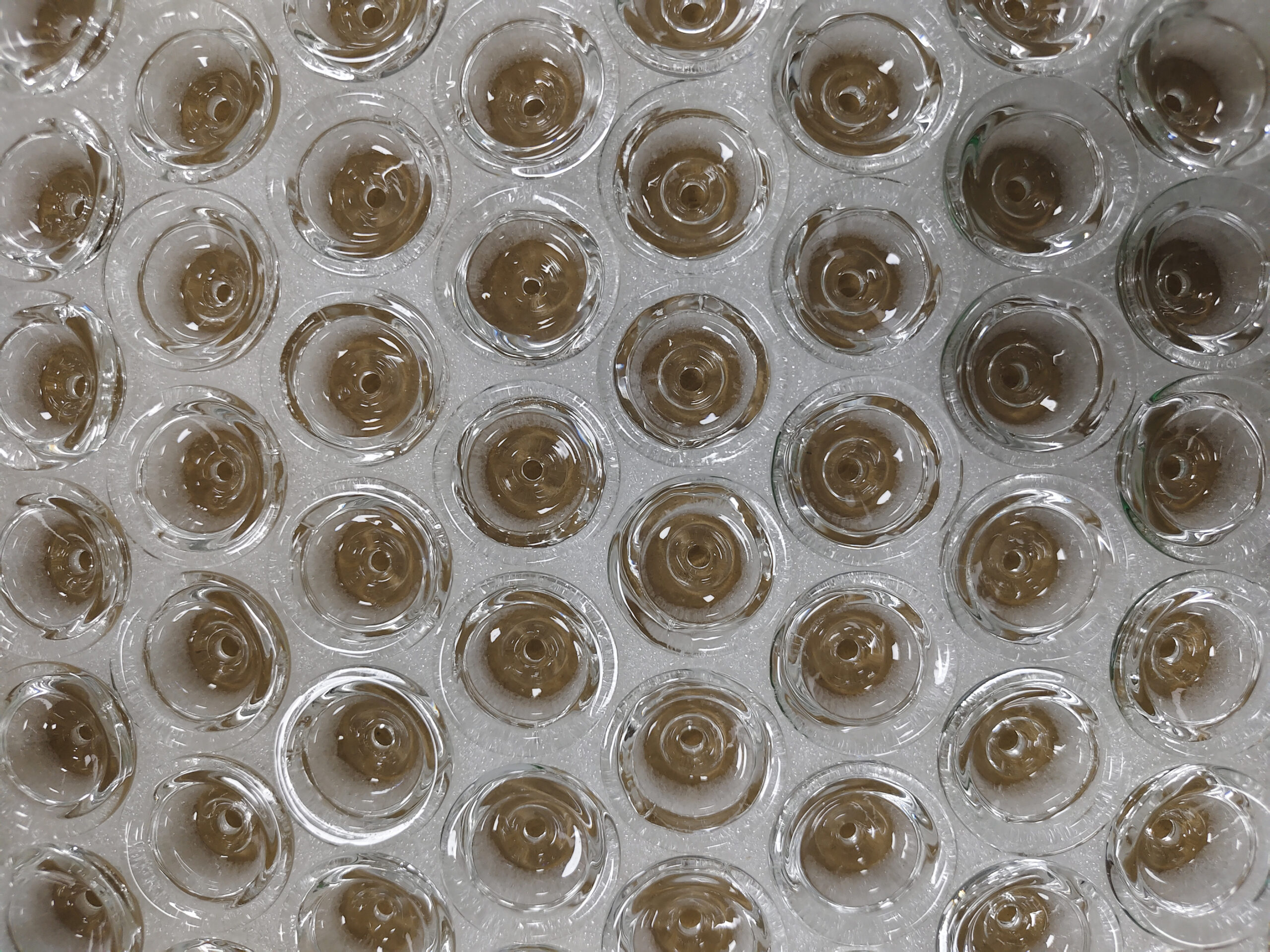 HLL Smoke Glass Pipe Filter with 1 Honeycomb Hole (Transparent) - 图片 10